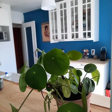 Proche Avec Grand Balcon Lägenhet *