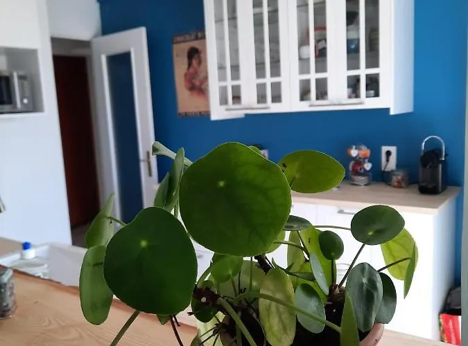 Proche Avec Grand Balcon Lägenhet *